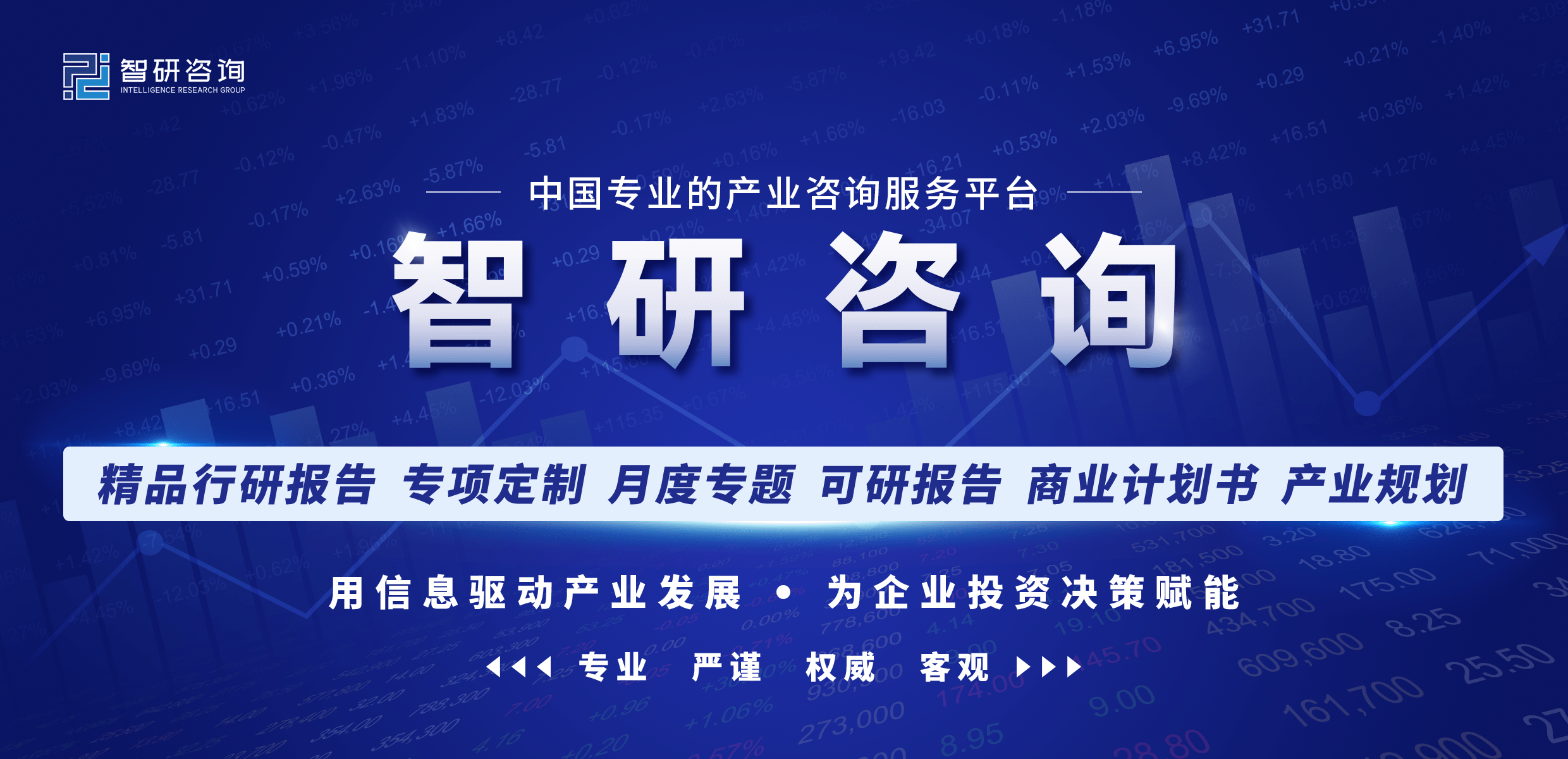 2023-2029年中国智能锁行业市场全景调查及未来前景规划